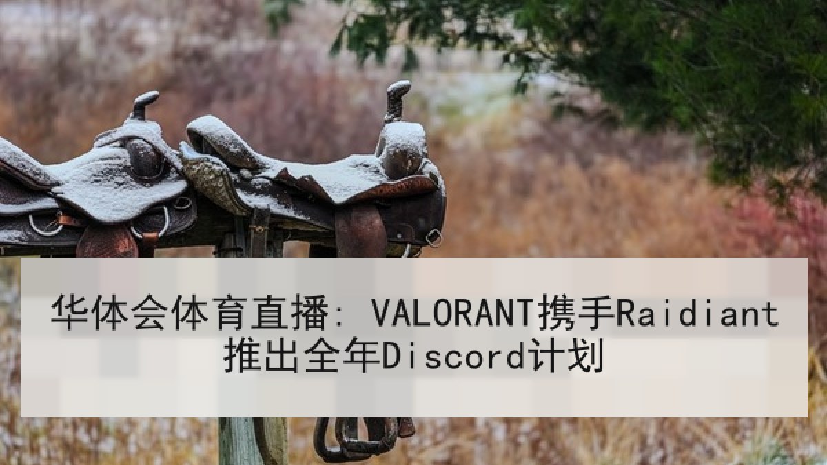 华体会体育直播: VALORANT携手Raidiant推出全年Discord计划