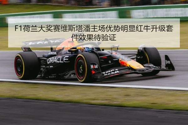 he-lan-da-jiang-sai-wei-si-ta-pan-zhu-chang-you-shi-ming-xian-hong-niu-sheng-ji-tao-jian-xiao-guo-dai-yan-zheng-2-114.jpg